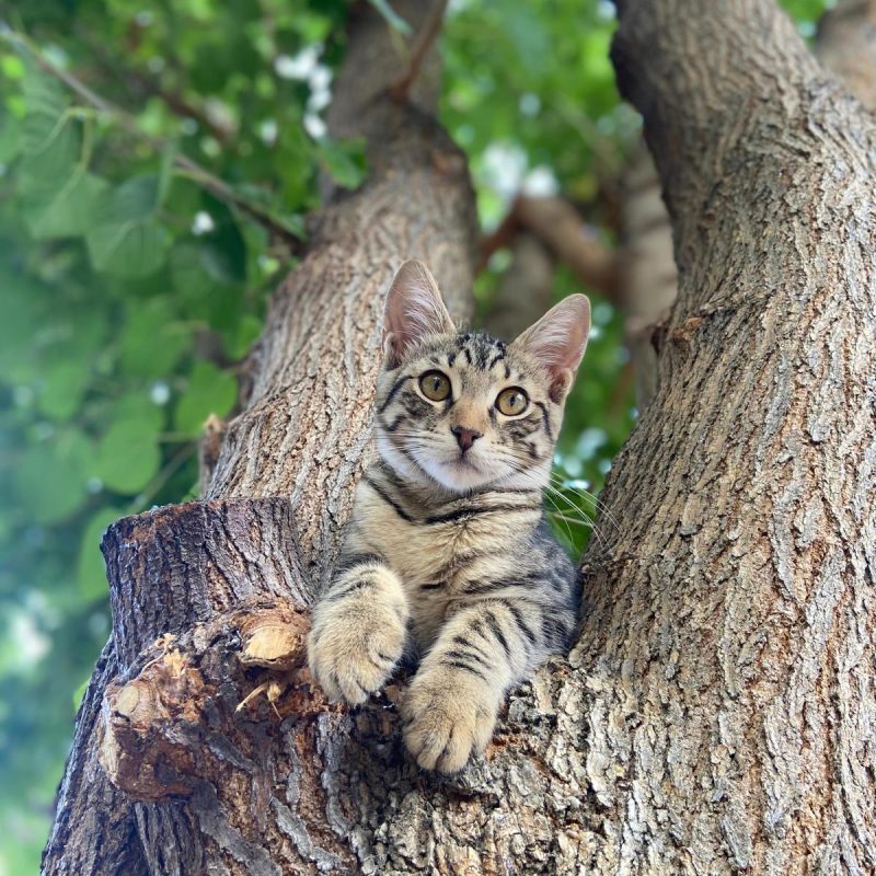 WhatsApp Image 2025-09-05 at 11.19.34 (17)